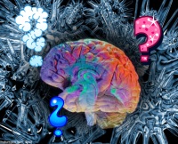 cerveau cognitif et physiologique